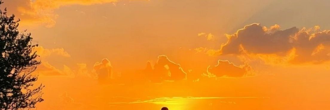 华少弟弟's banner