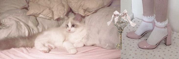 mimi𐙚's banner