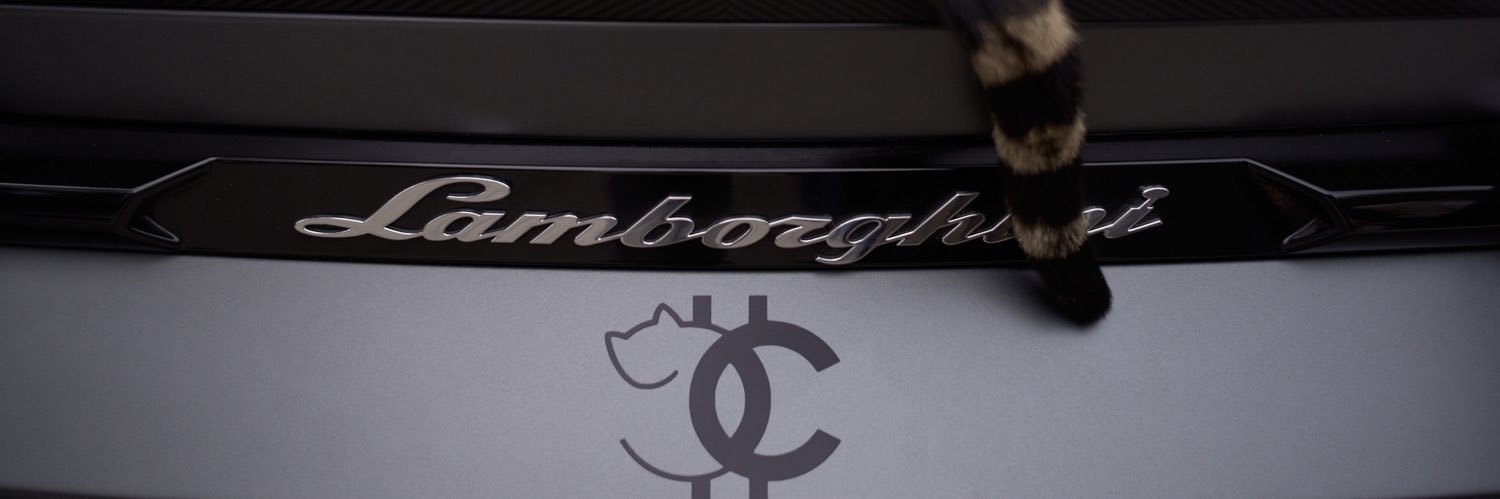 CatsNCars's banner