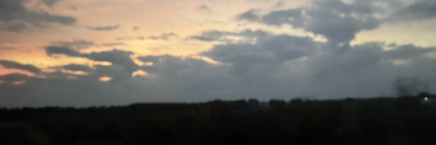 nessa🎀's banner