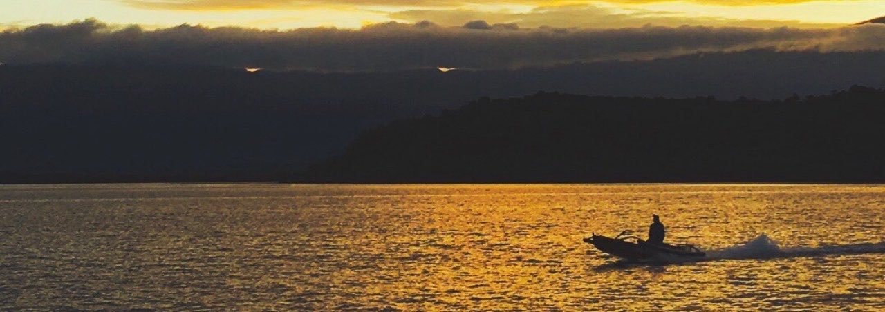 dodong ♏️'s banner