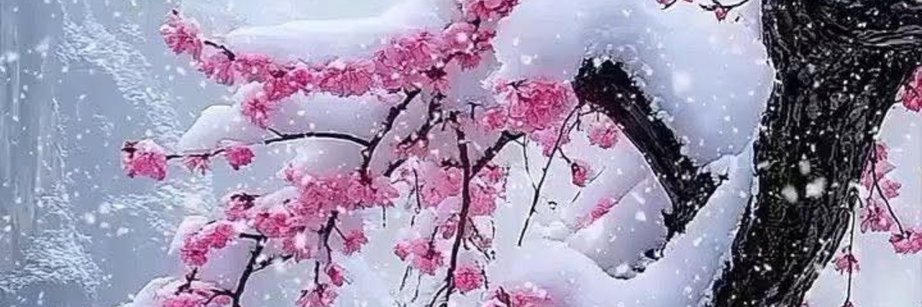 Büş🍀's banner