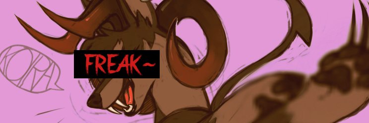 FurryRag's banner