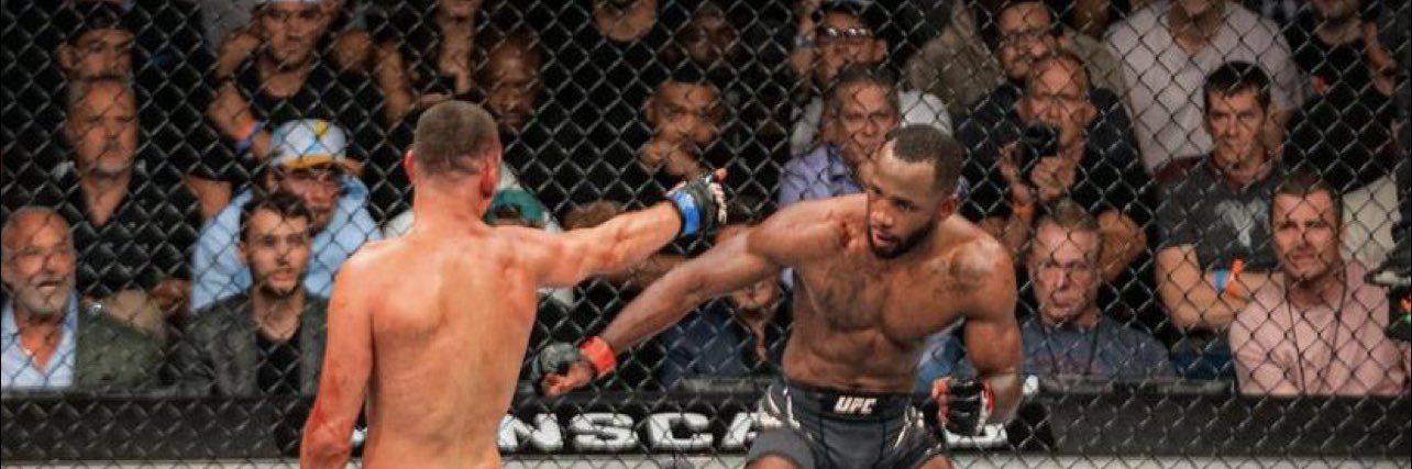 MMA 🦈's banner