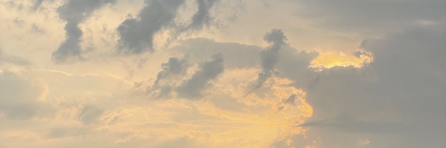 nutellaaaaaa🍵👧's banner