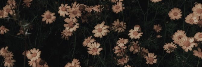 𝓛𝓮𝓪𝓷𝓪 / 𝓛𝓮𝓮's banner