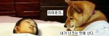 nicebam23's banner