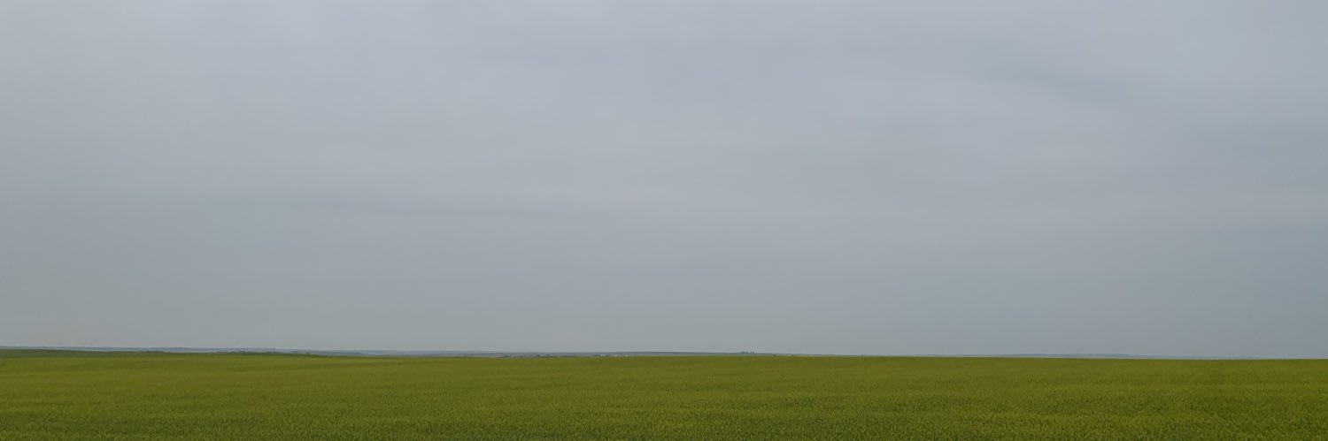 David Staples's banner