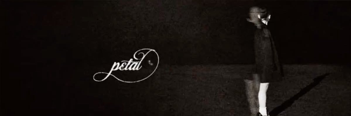 ✧'s banner