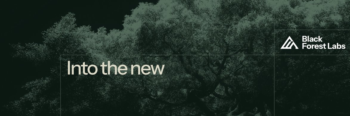 Black Forest Labs's banner