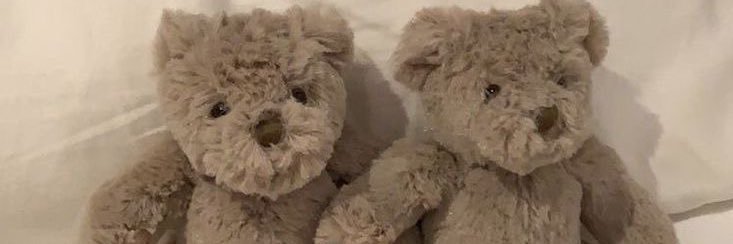 mee 🧸🐝's banner