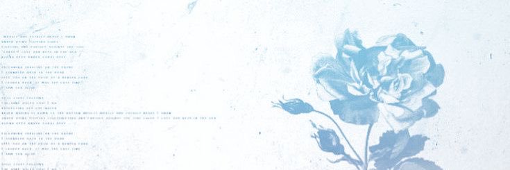 pooh🍯's banner