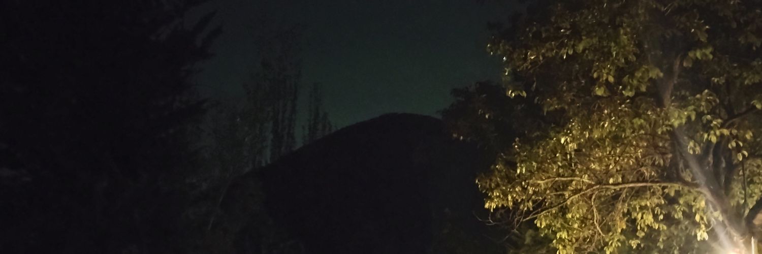 kizil Scar ✊🇨🇱's banner