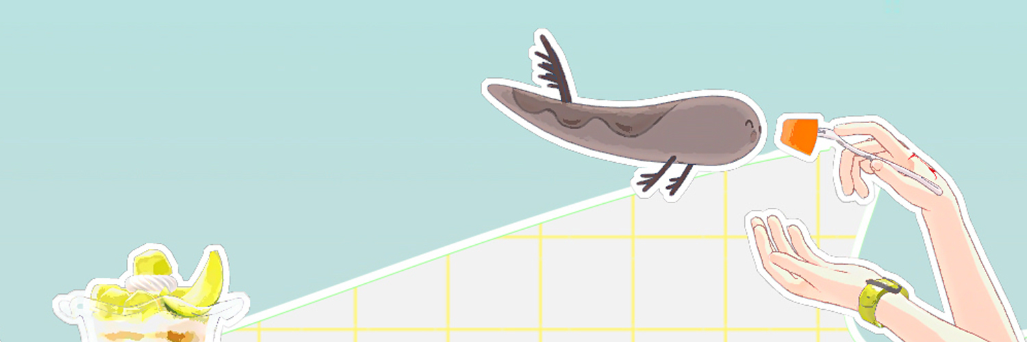 ロカ's banner