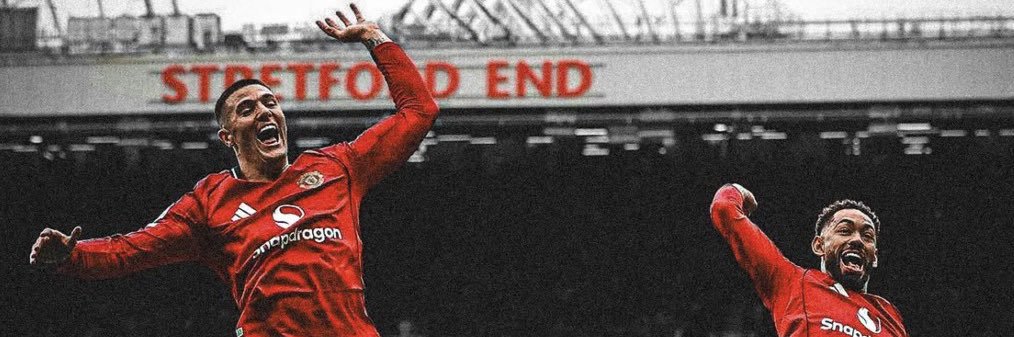 Dsain't🤡's banner