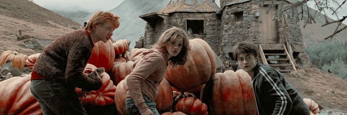 Portal Harry Potter's banner