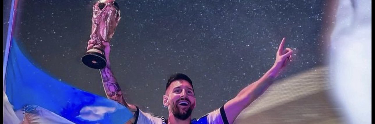 🦢's banner