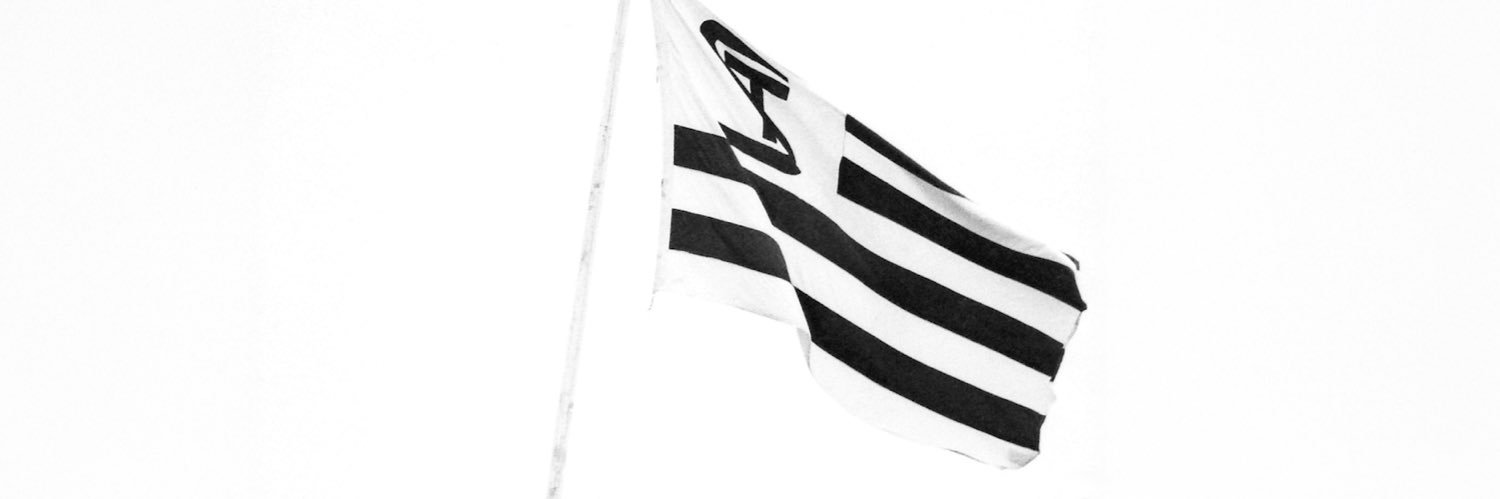 SK Sturm Graz's banner
