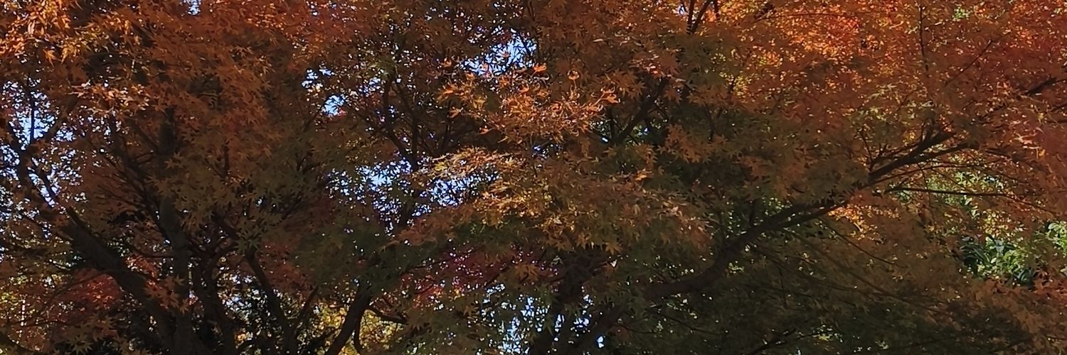 三七's banner