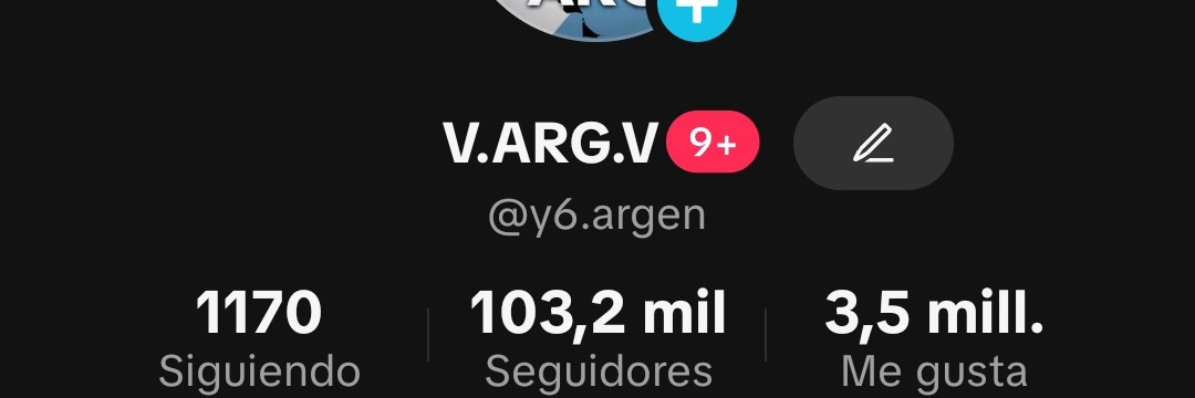 V.ARG.V's banner