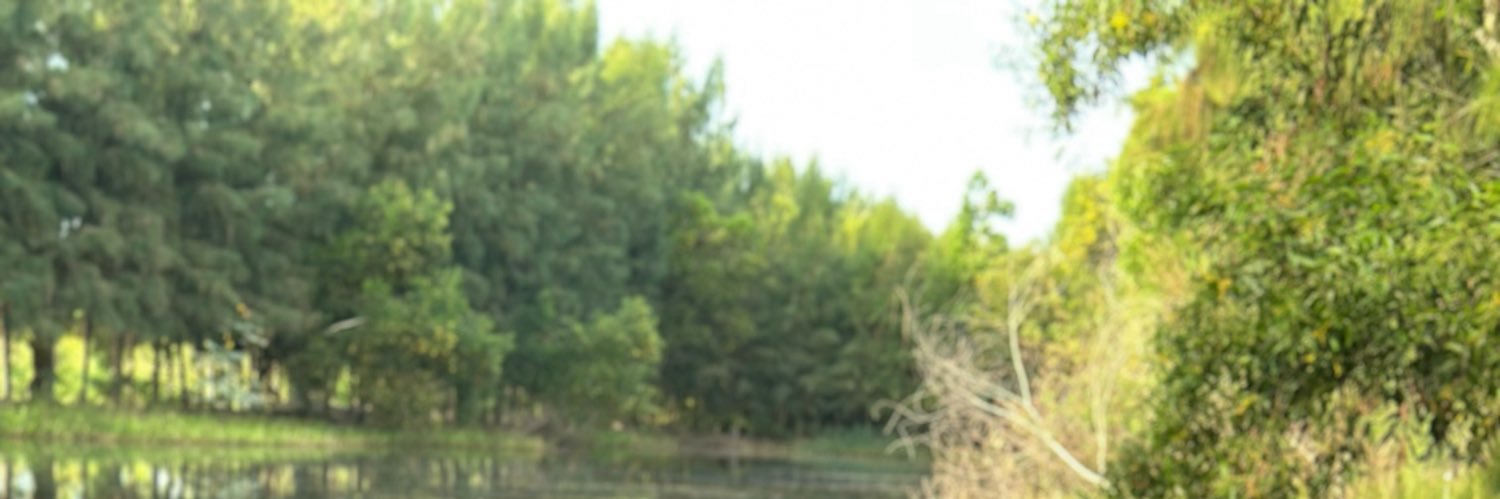𝐍 𝐚 𝐢 𝐥 𝐚's banner