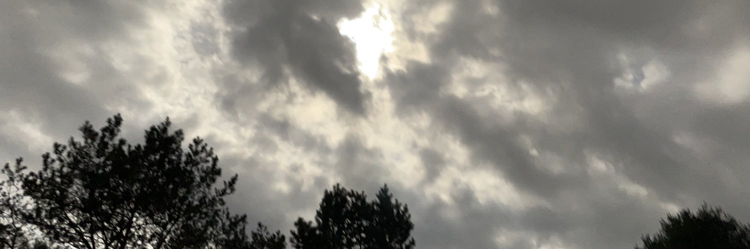 FOR 🅰 REASON's banner