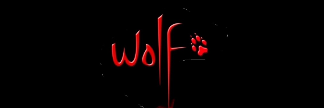 daddy wolf 🐺🔥's banner