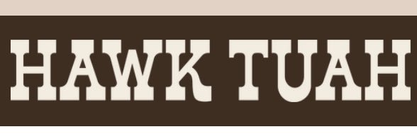 Haliey Welch's banner