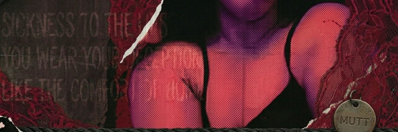Ally 🐾's banner