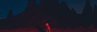 tody's banner