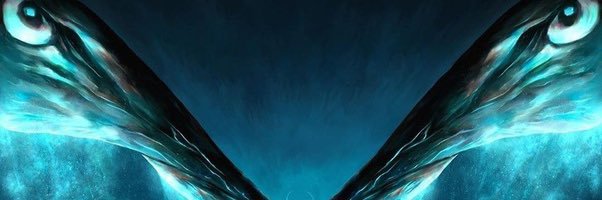 n x d's banner