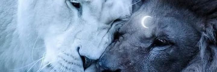 el infierno 🖤's banner