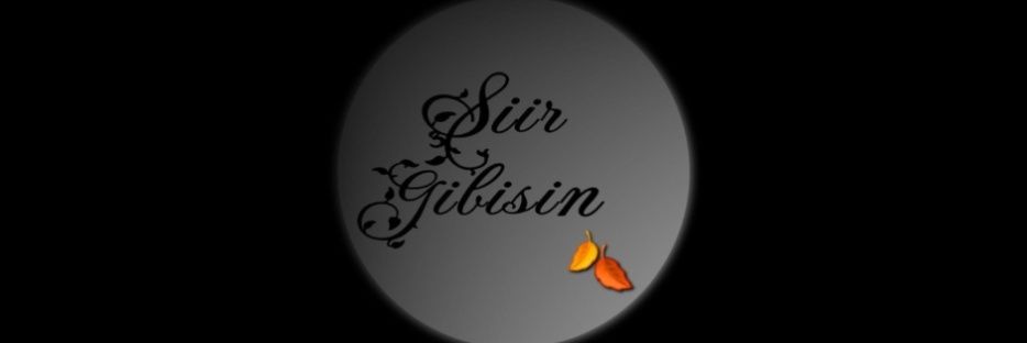 Ş𝓲𝓲𝓻 𝓖𝓲𝓫𝓲𝓼𝓲𝓷's banner