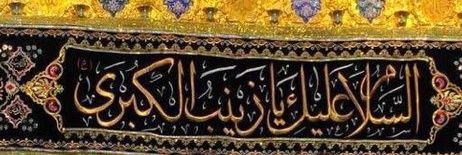 💫خادمة الحُسين 💫's banner