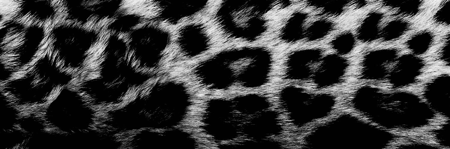 giada 🐆's banner