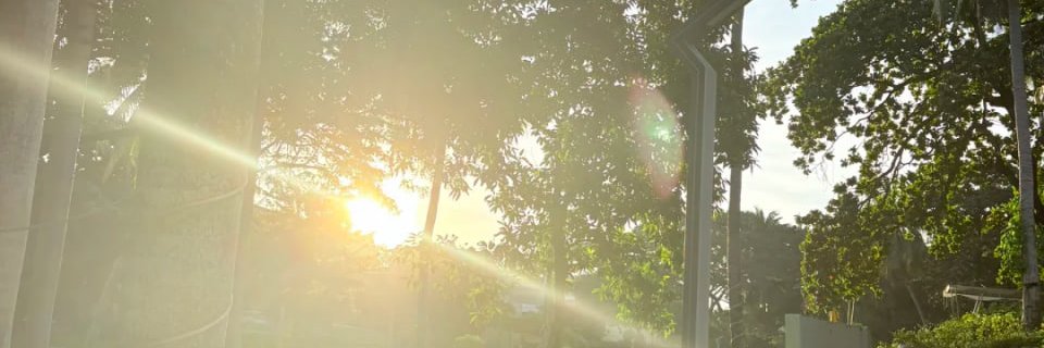 当律师全凭一张嘴's banner