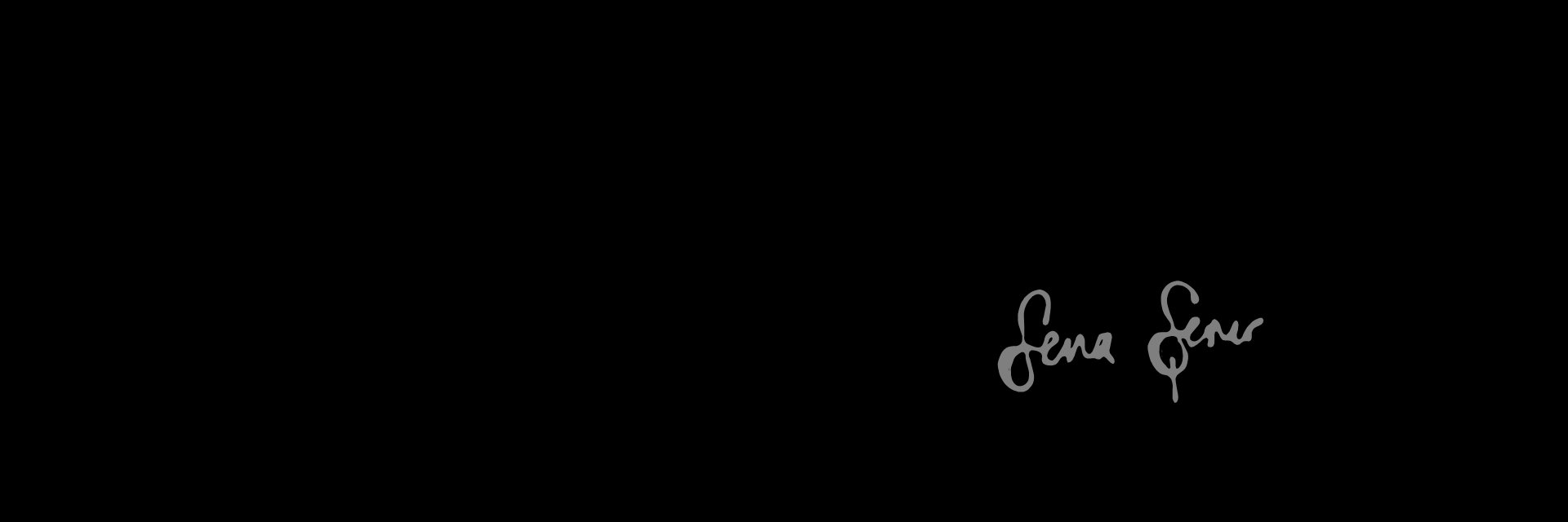 Sena Şener's banner