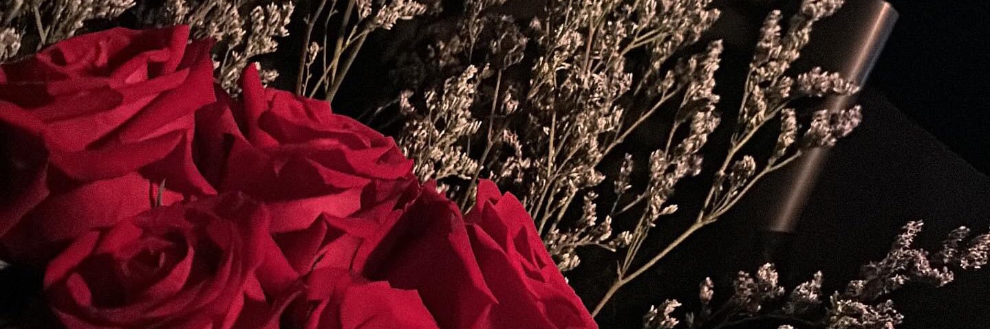 T🦋🥀's banner