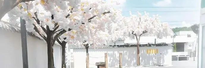 小毛米's banner