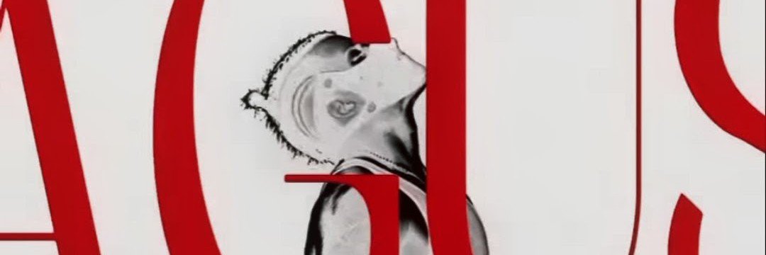 Al Ly's banner