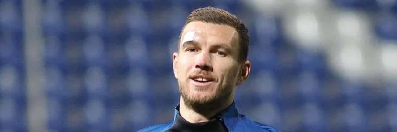 The Bosnian's banner