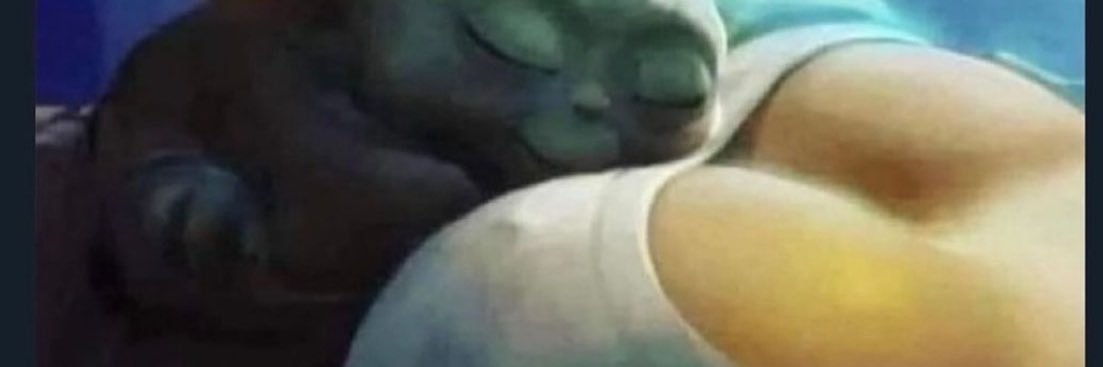 Excellent Tits's banner