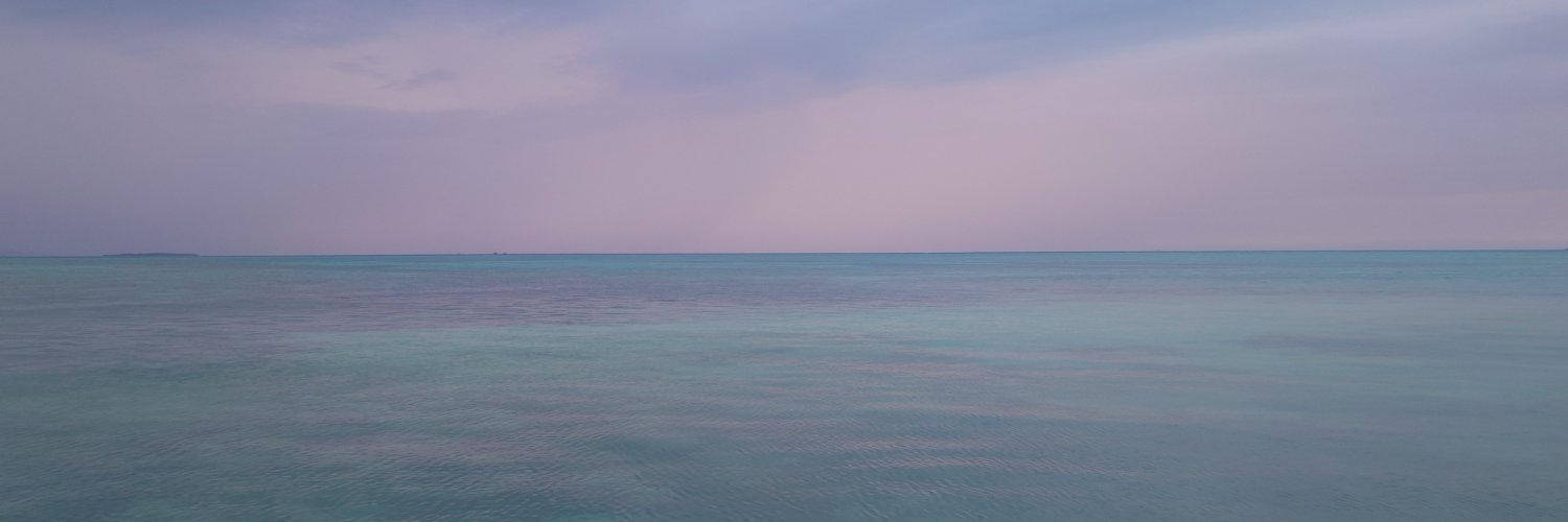 てあんペヤング's banner