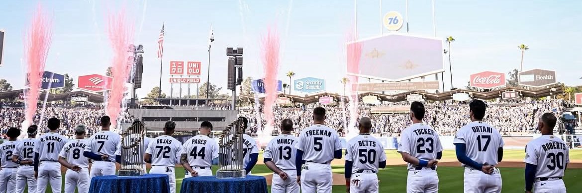 Blake Snell Enjoyer's banner