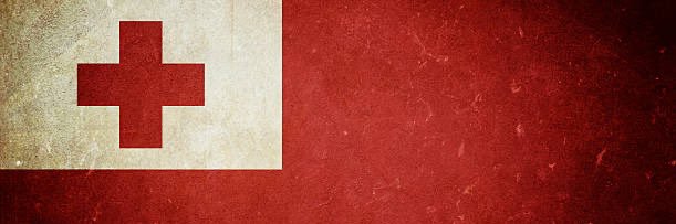 Local🇹🇴D_Tz's banner