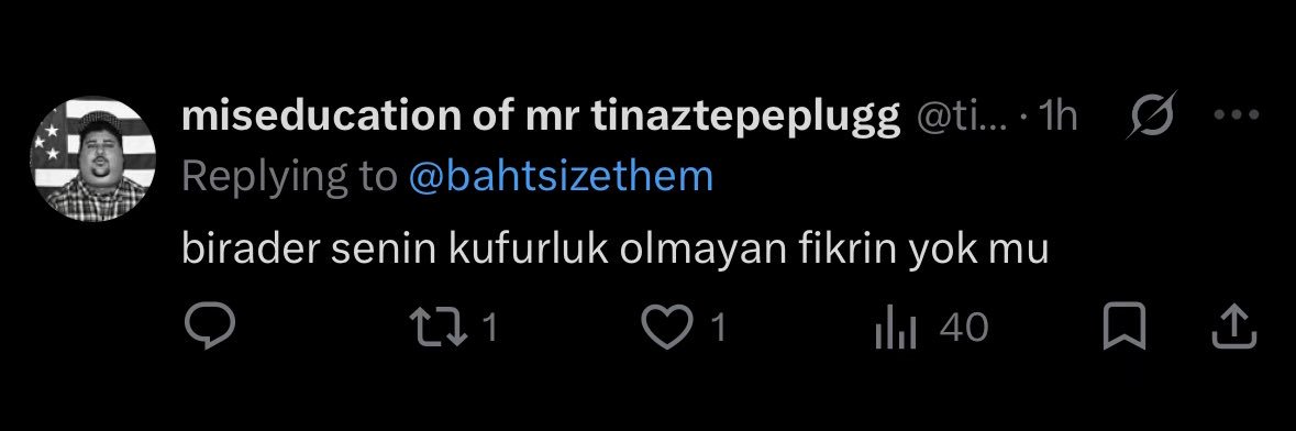 düz ethem's banner