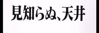 TSUBAKI's banner
