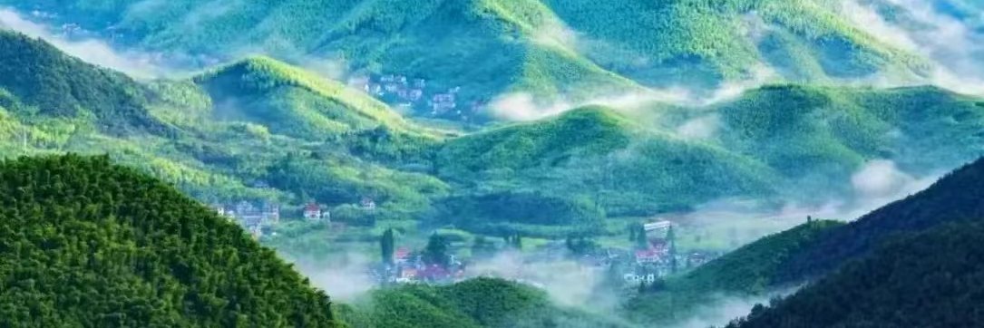 齐鲁's banner