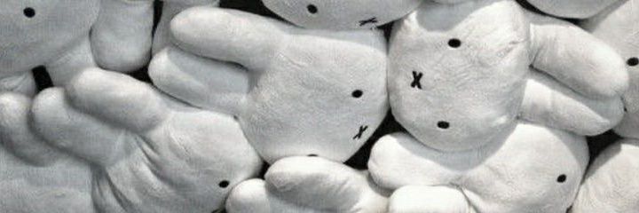 veru's banner