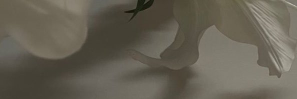 Ghazal's banner